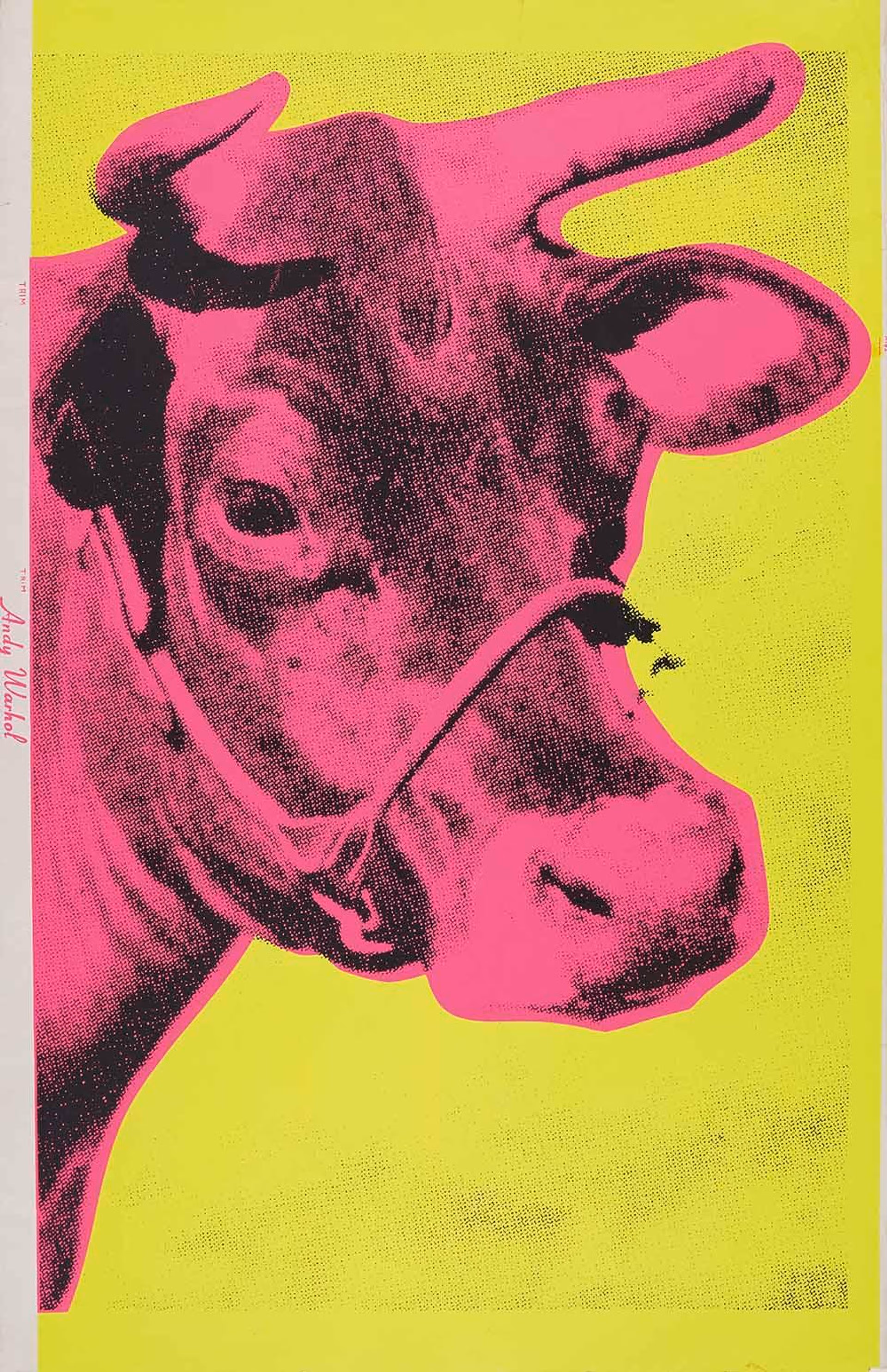 Een kunstwerk van Andy Warhol